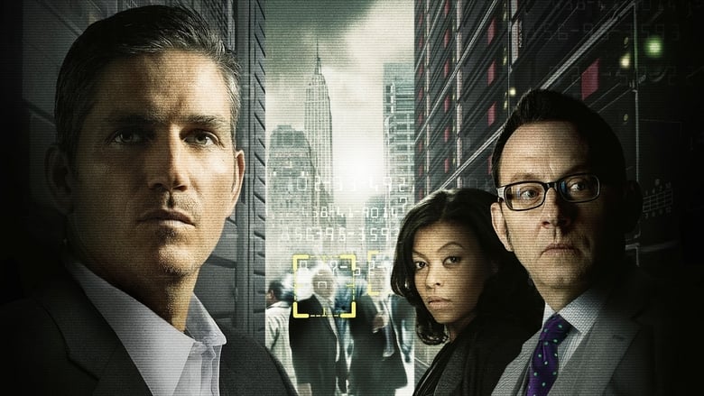 Person Of Interest TV Show
