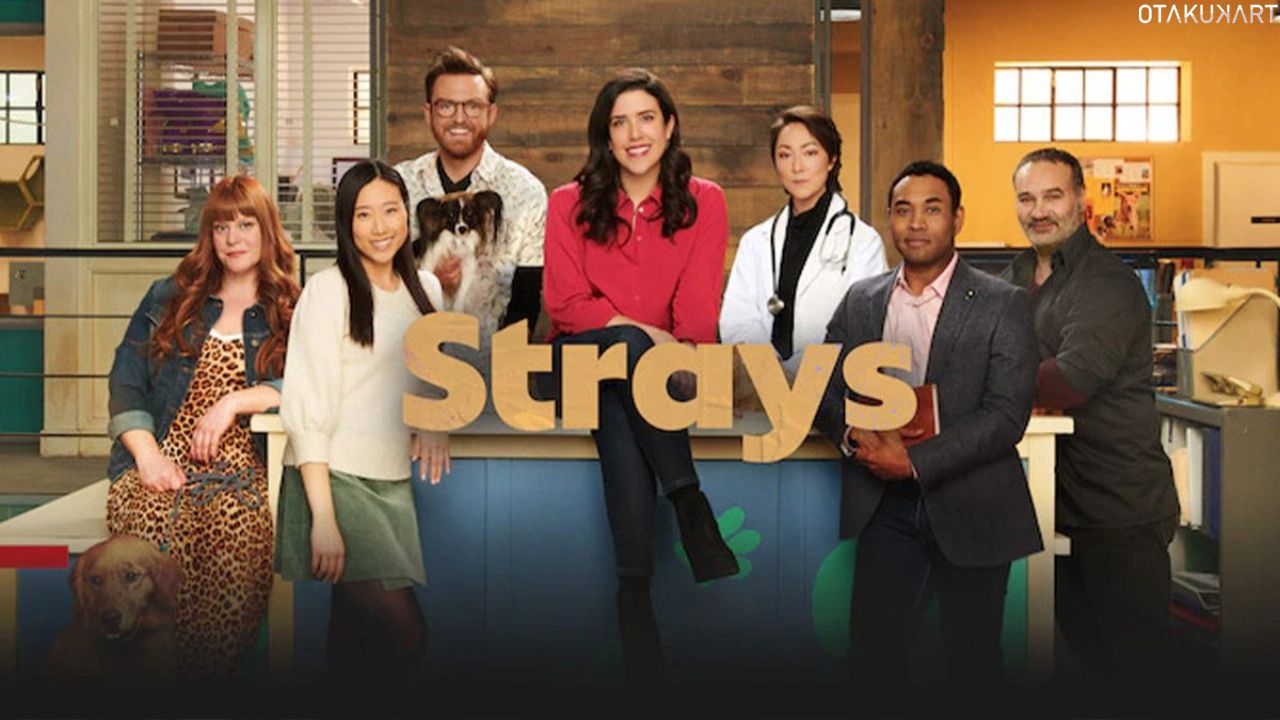 Strays Season 2 trailer