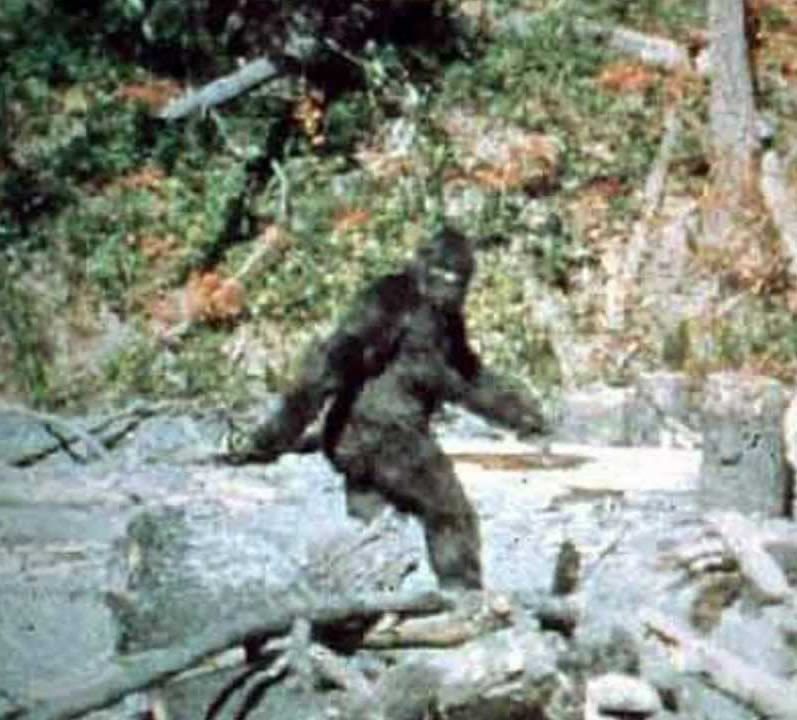 The Legend Of Bigfoot -Does It Really Exists