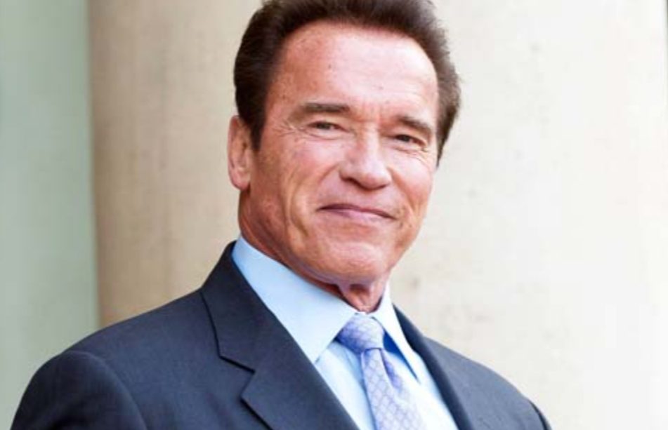 Arnold Schwarzenegger Is Missing From Google