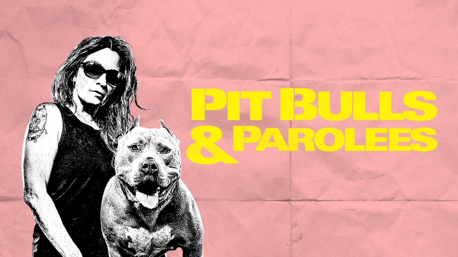 Pit Bulls And Parolees Season 19 Episode 6 Release Date Spoilers   Pit Bulls 1536x864 