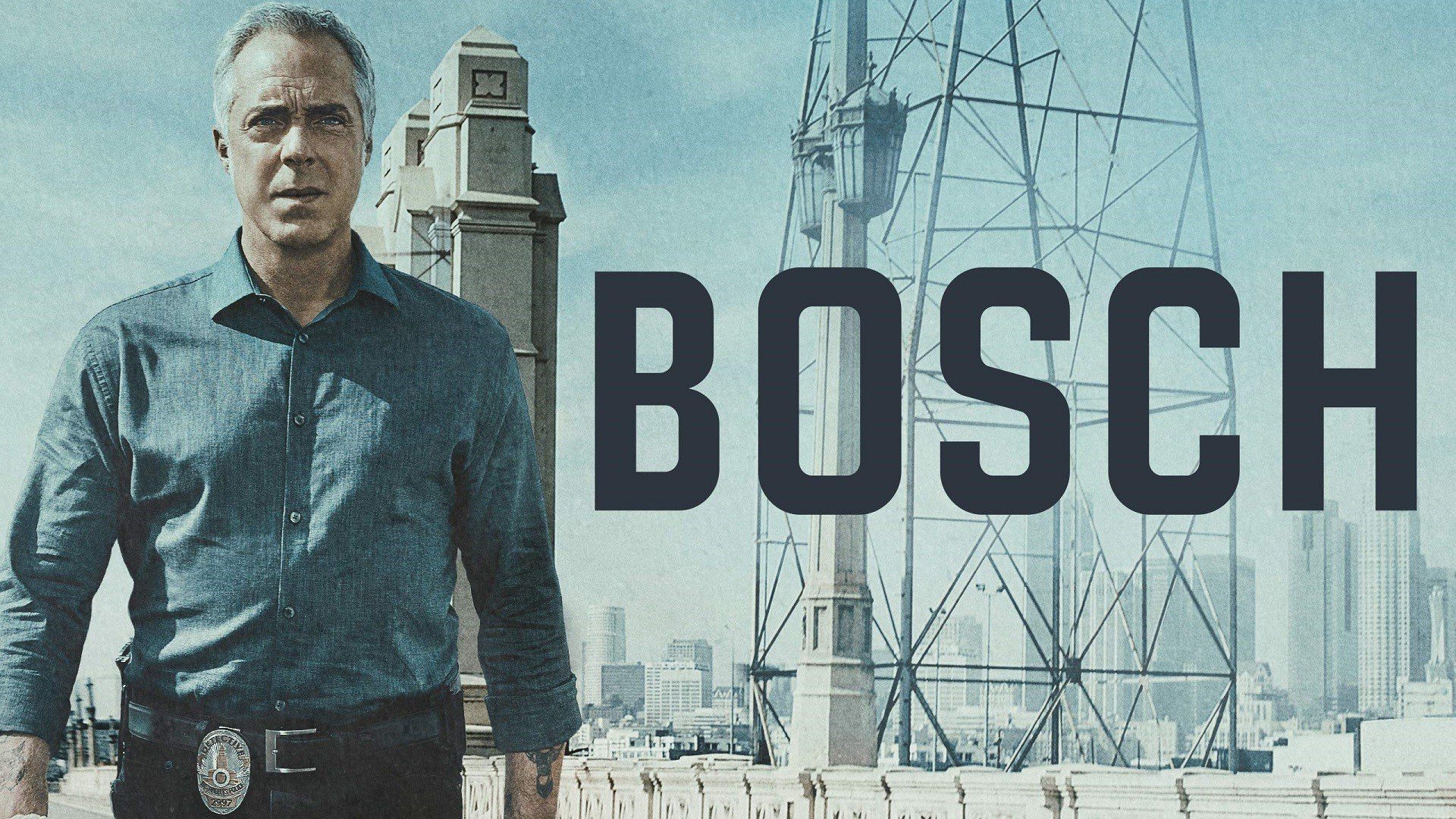 Bosch Poster HD 