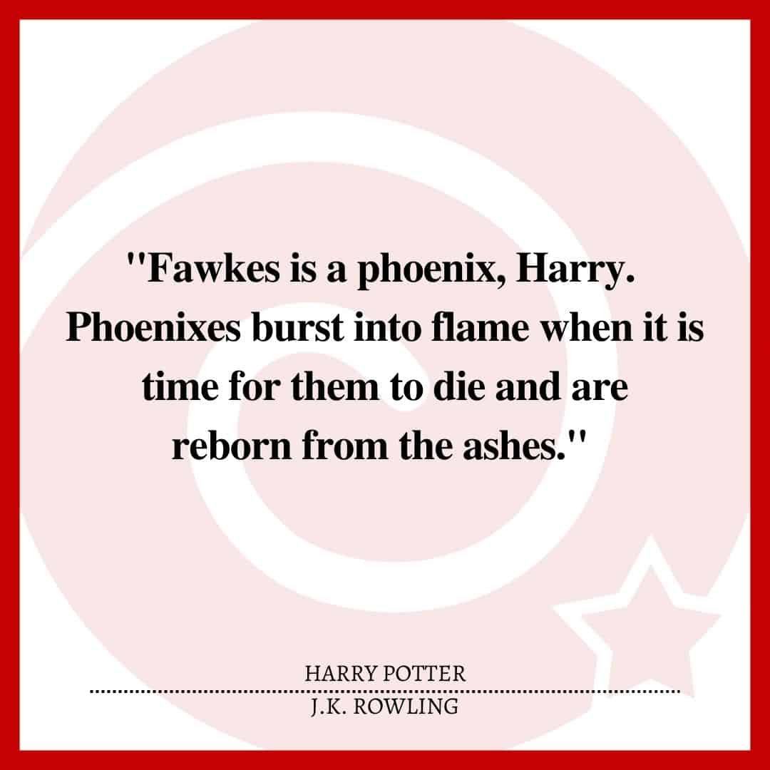 "Fawkes is a phoenix, Harry. Phoenixes burst into flame when it is time for them to die and are reborn from the ashes."