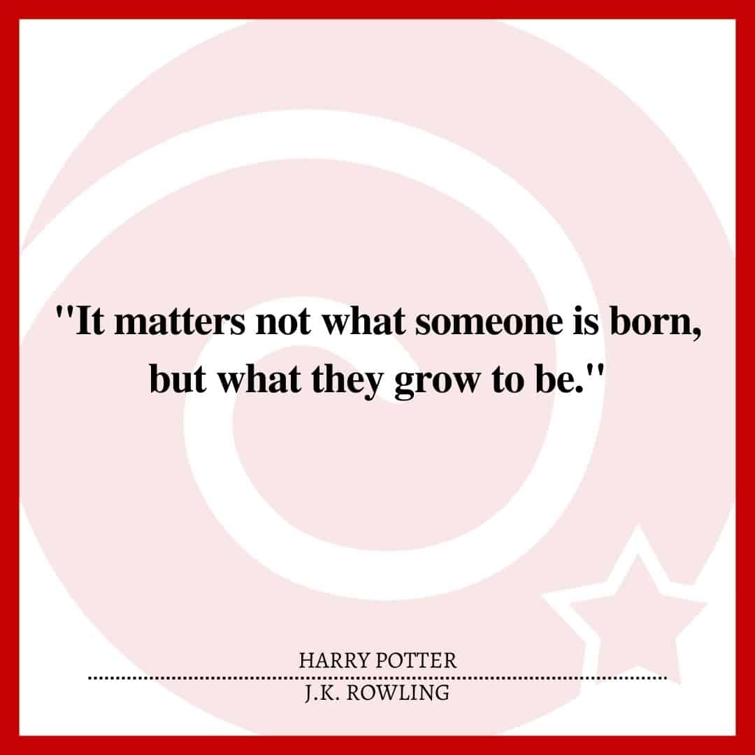 "It matters not what someone is born, but what they grow to be."