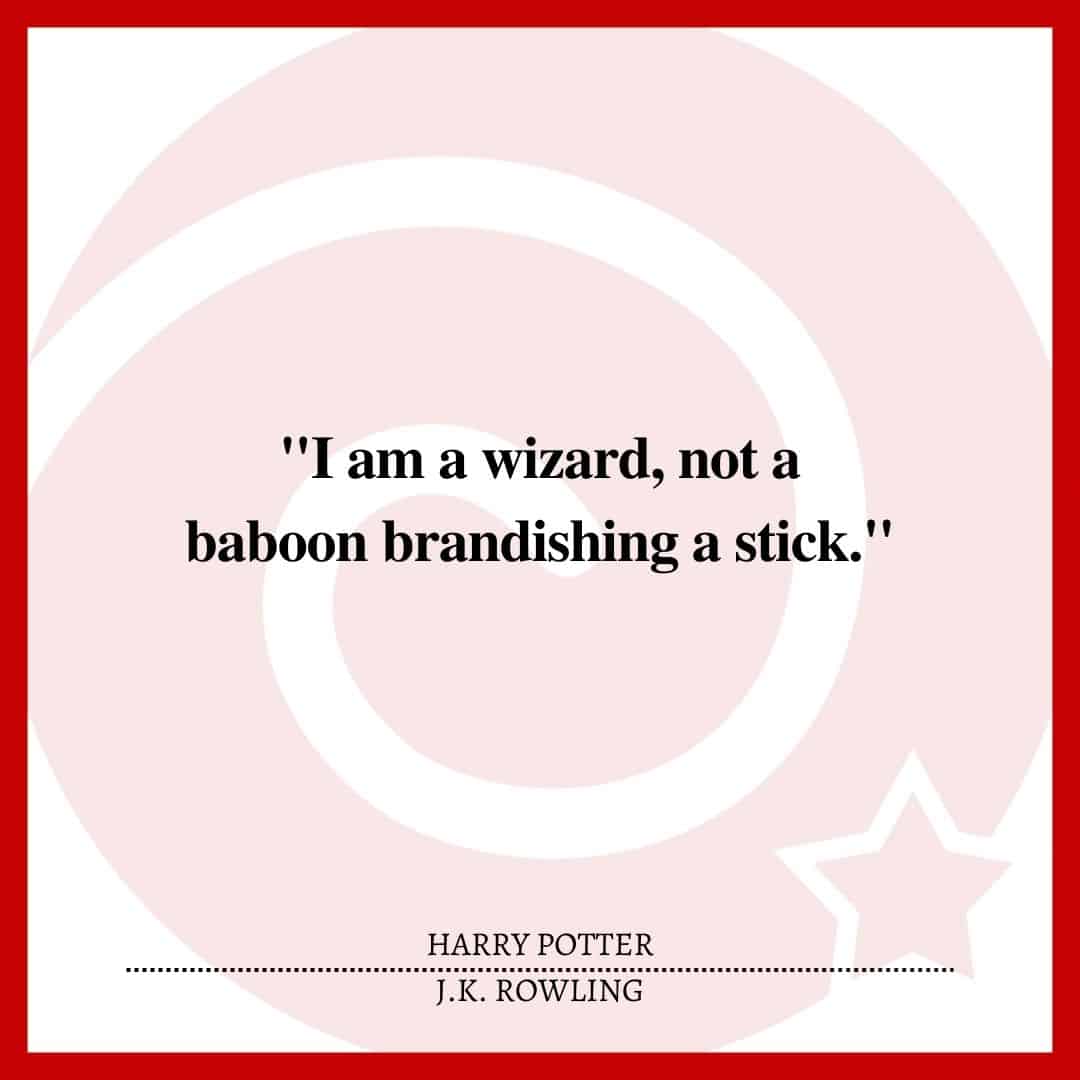 "I am a wizard, not a baboon brandishing a stick."