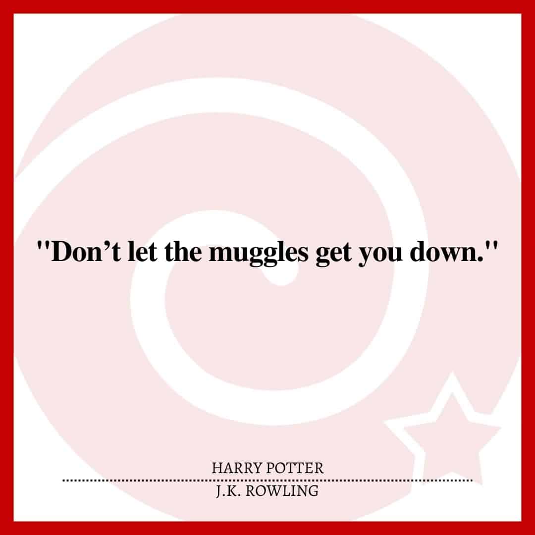 "Don’t let the muggles get you down."