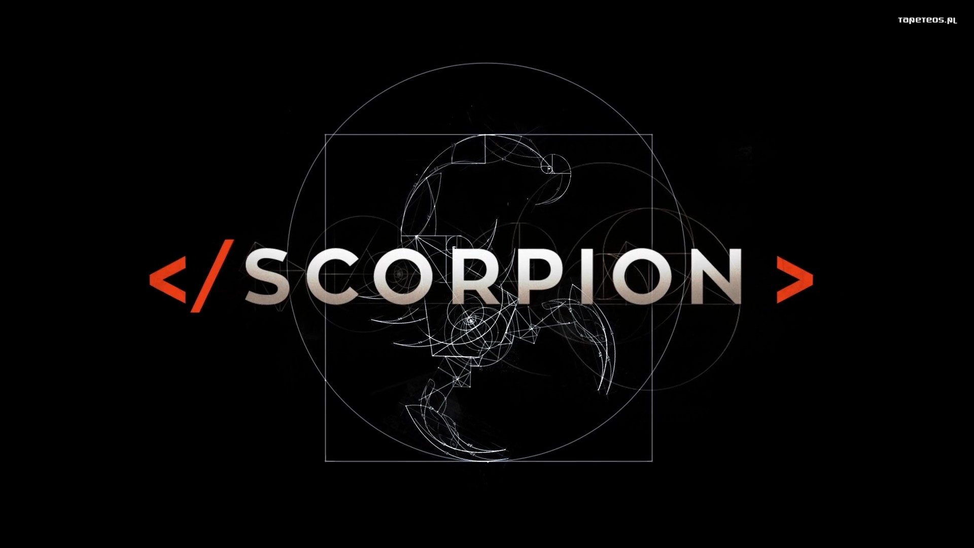 Scorpion Poster HD