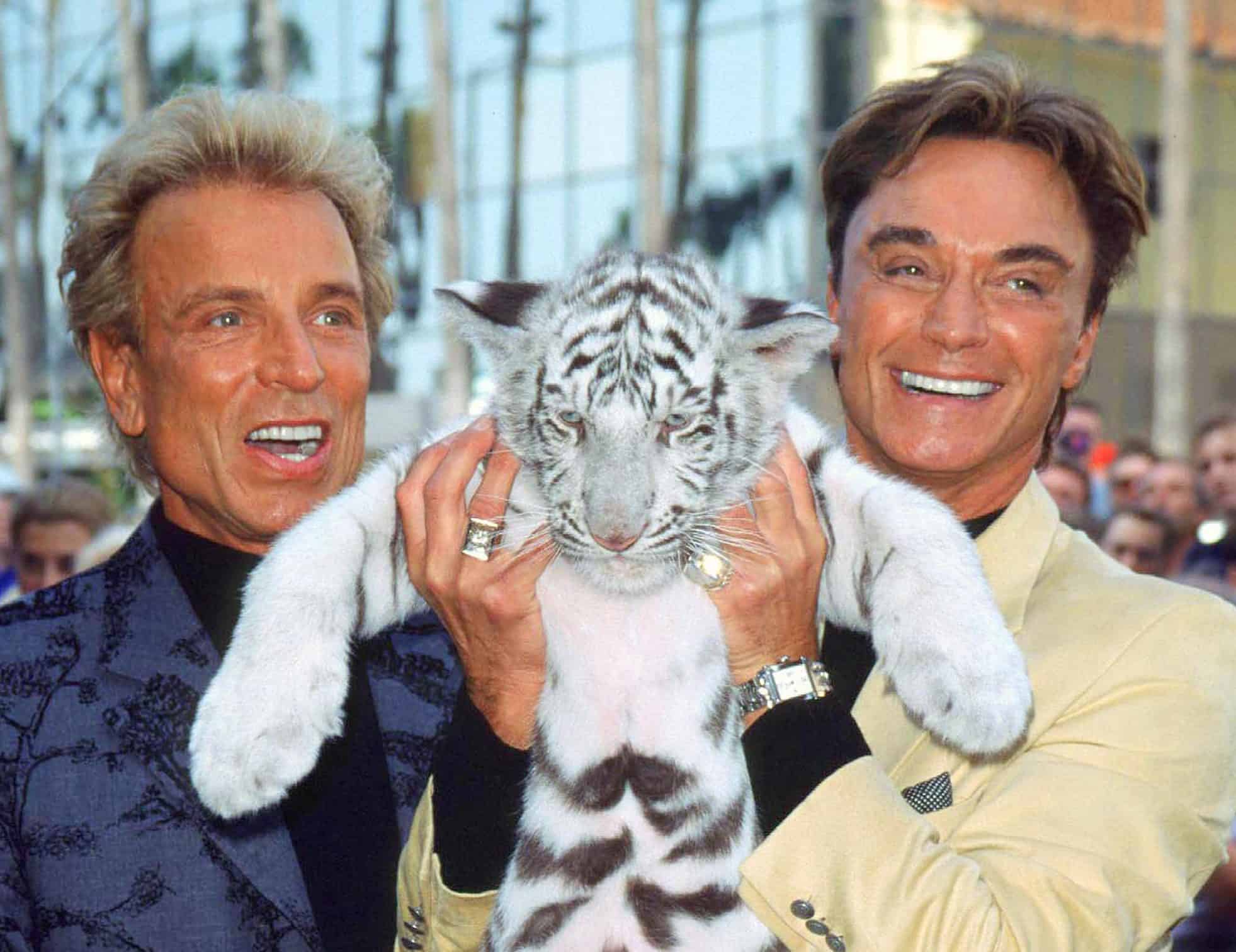 what happened to siegfried and roy