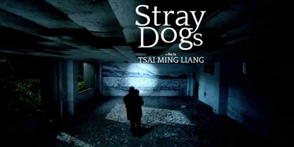 Stray Dogs 