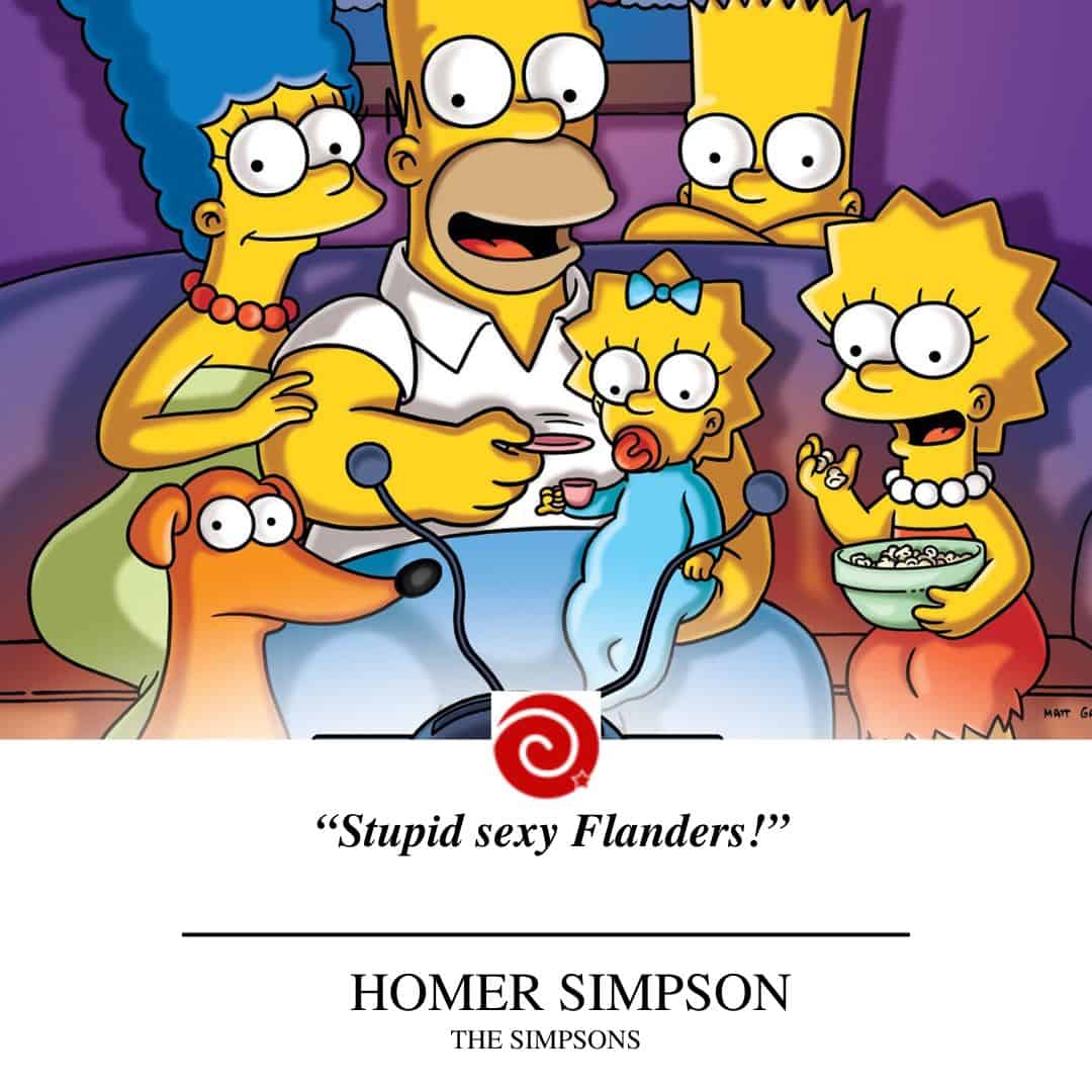 “Stupid sexy Flanders!”                