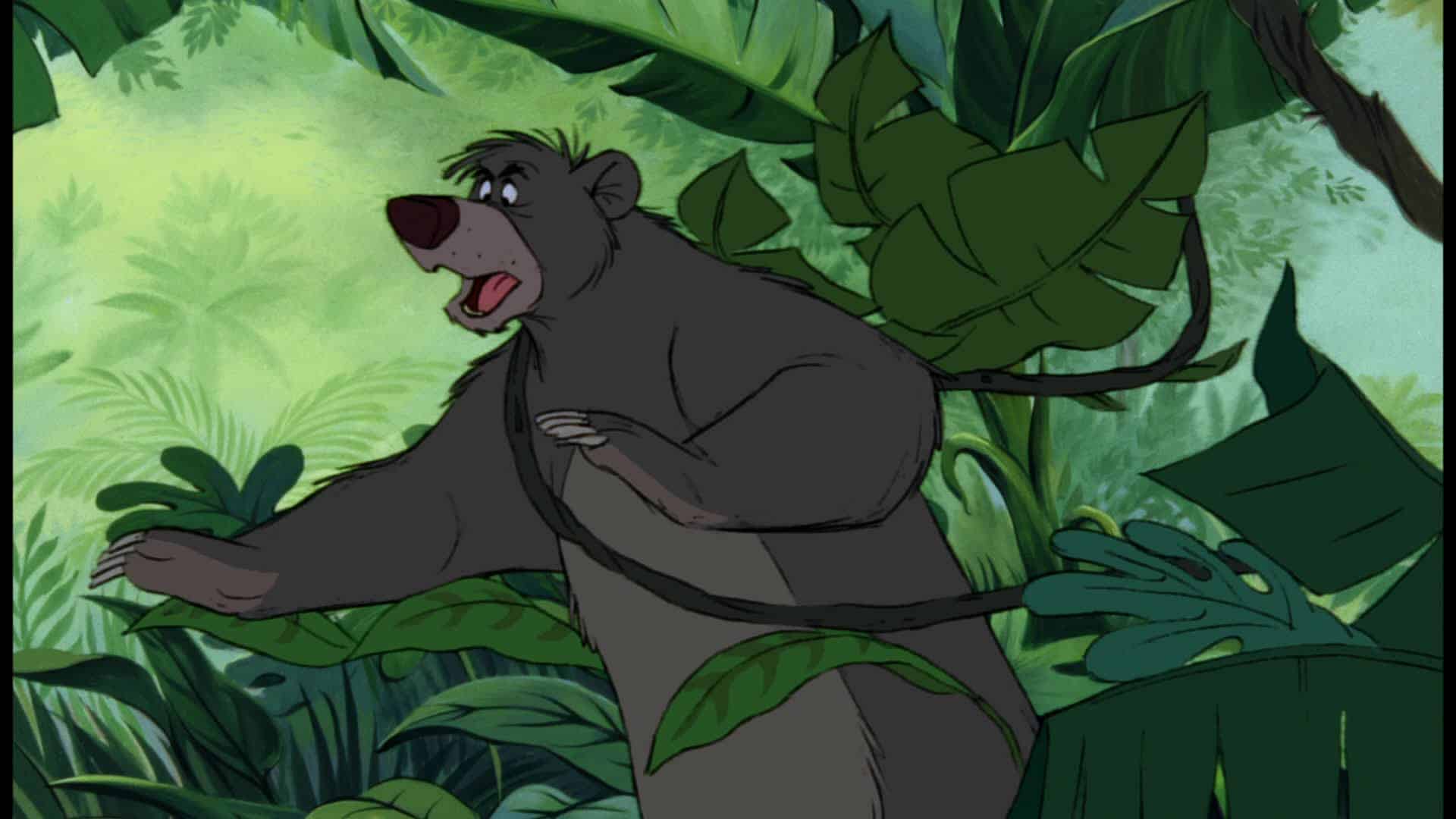 Baloo (The Jungle Book)