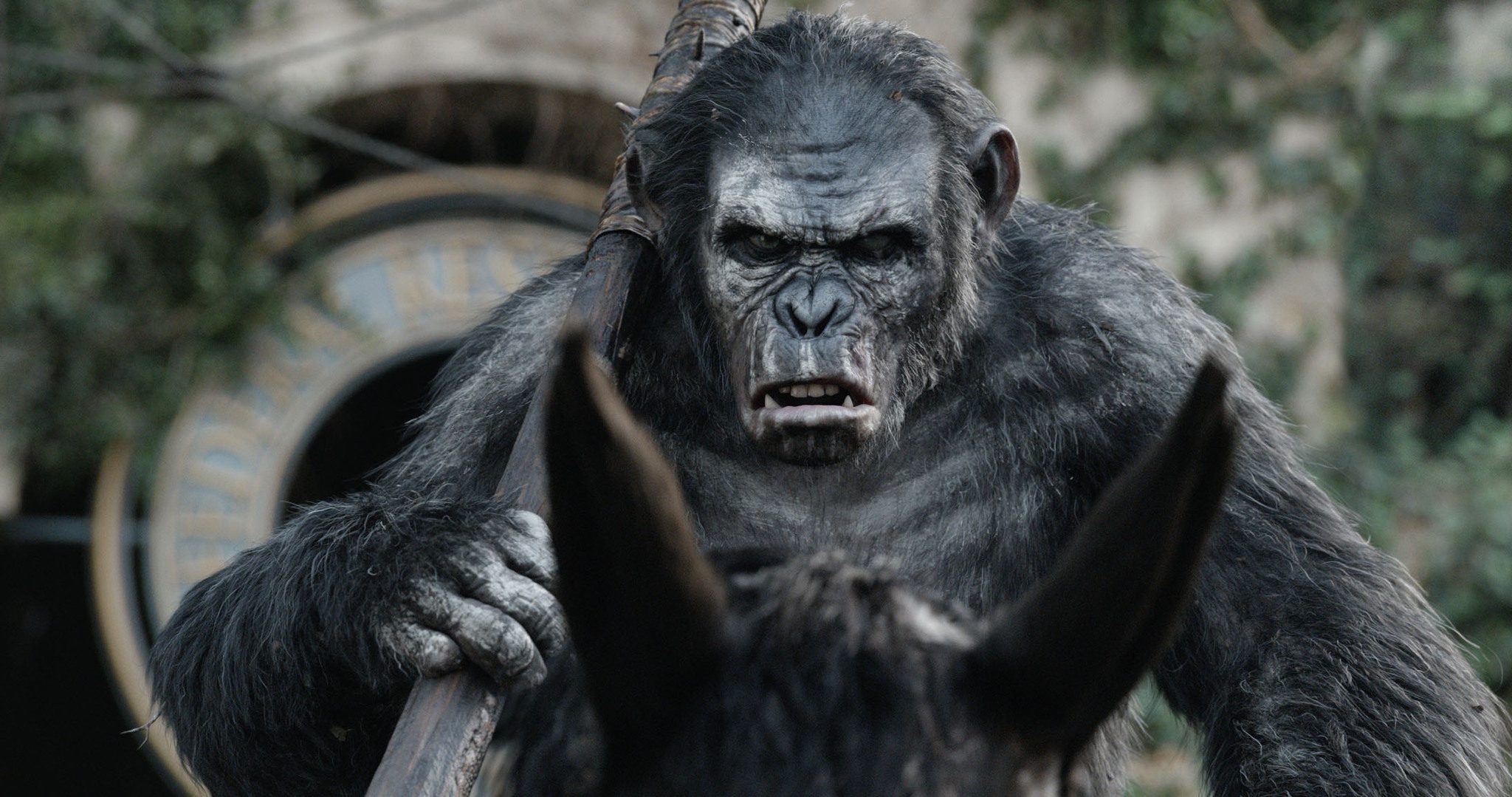 A still from the movie "Dawn of the planet of the apes"