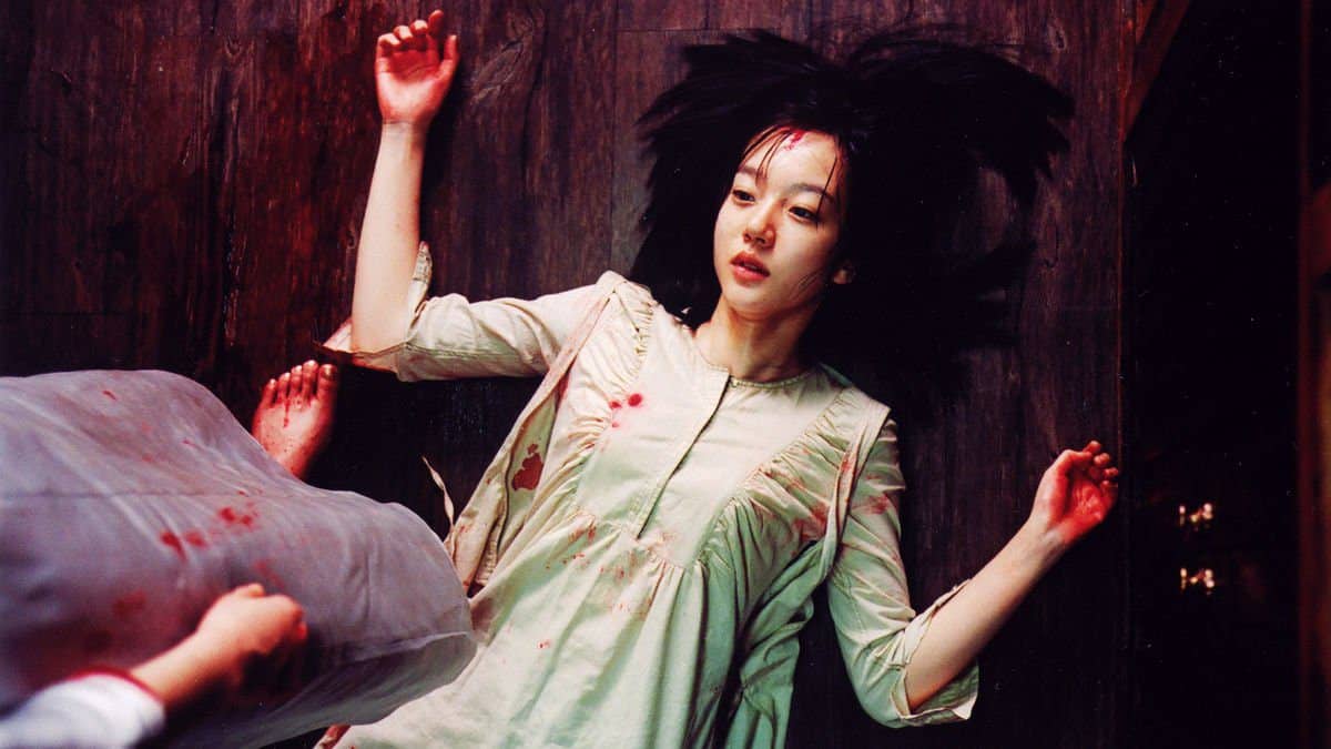 The 2003 South Korean psychological horror-drama film A Tale of Two Sisters.