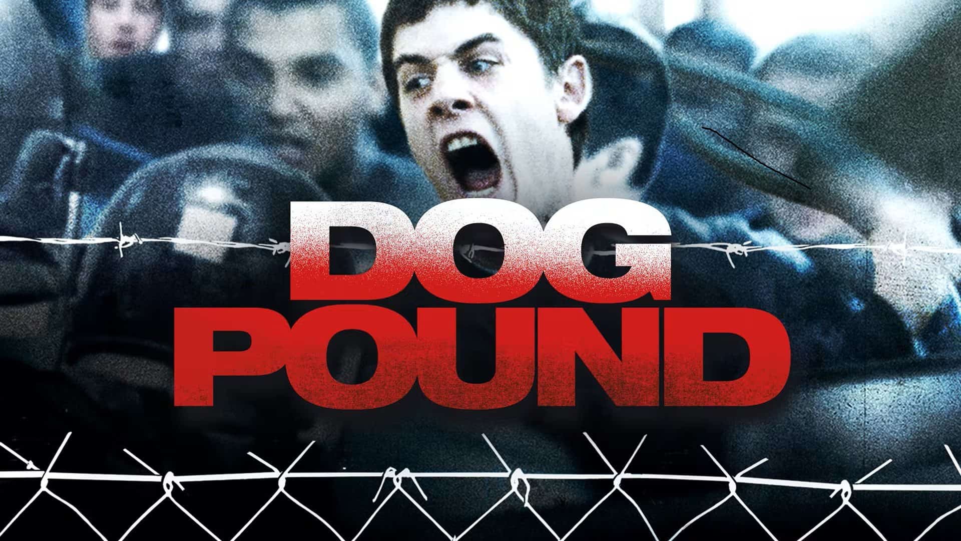 Dog pound ending explained; credits: Topic