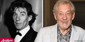 Ian Mckellen partner