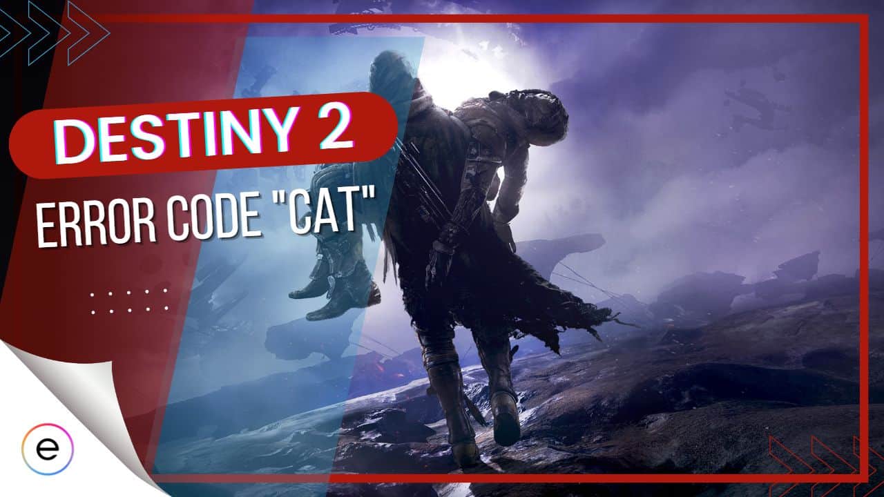 Destiny-2-Error-Code-Cat feature