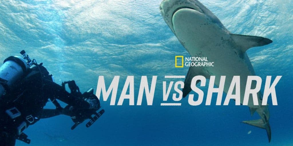 Man vs Sharks