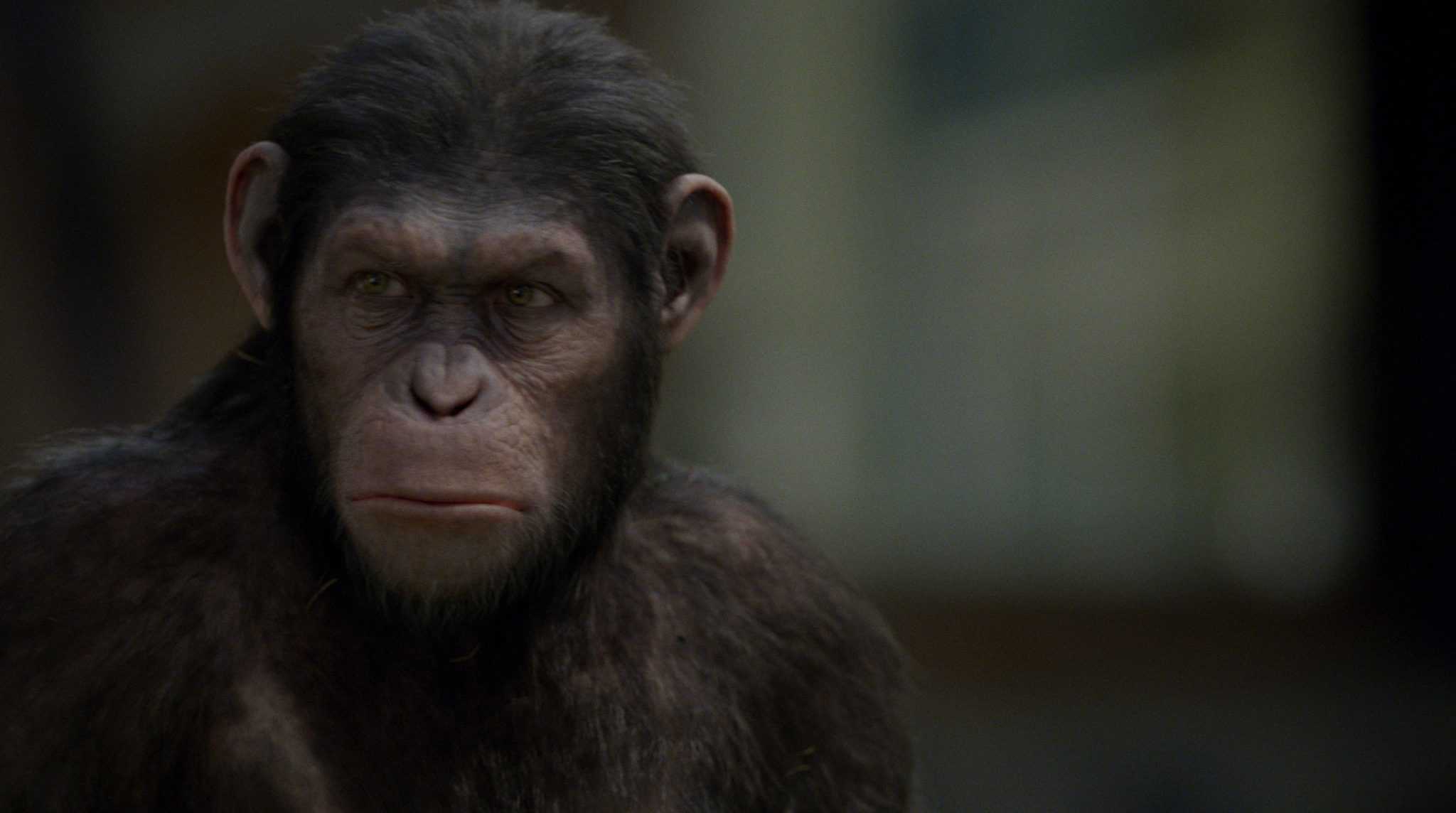 RISE OF THE PLANET OF THE APES
