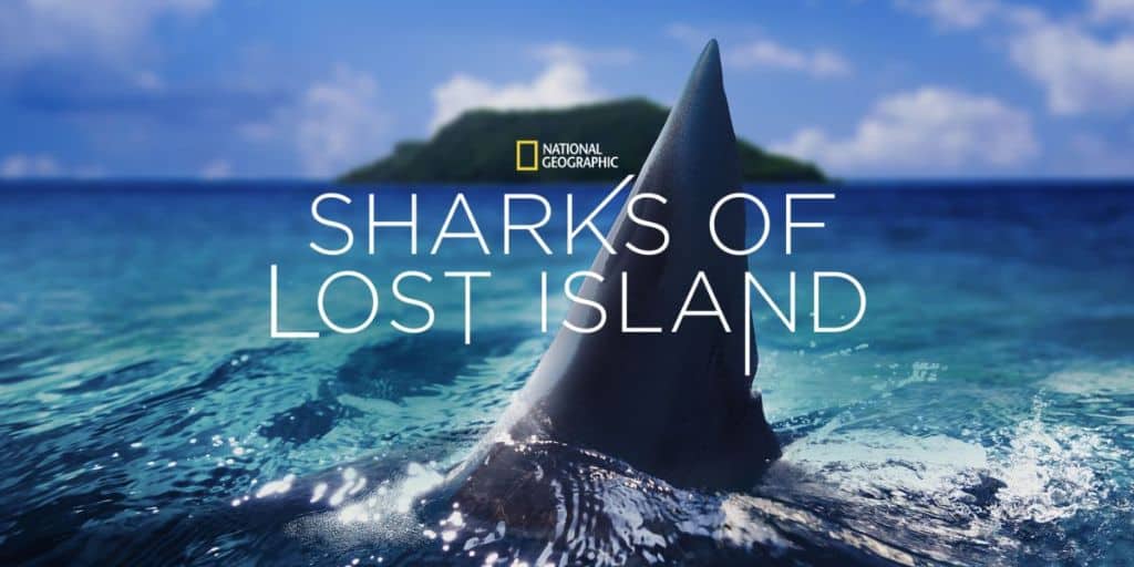 Sharks of Lost Island