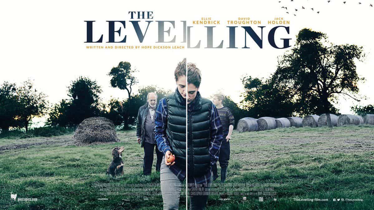 The Levelling Poster HD