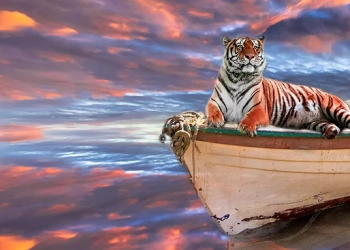 Did They Use A Real Tiger In The Oscar Winning Movie Life Of Pi?