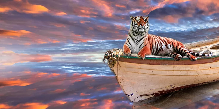 Did They Use A Real Tiger In The Oscar Winning Movie Life Of Pi? - OtakuKart