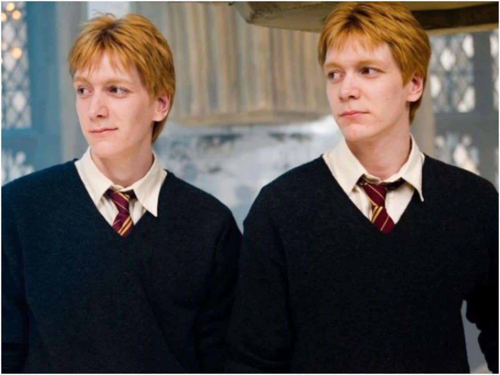 Fred and George from Harry Potter series 