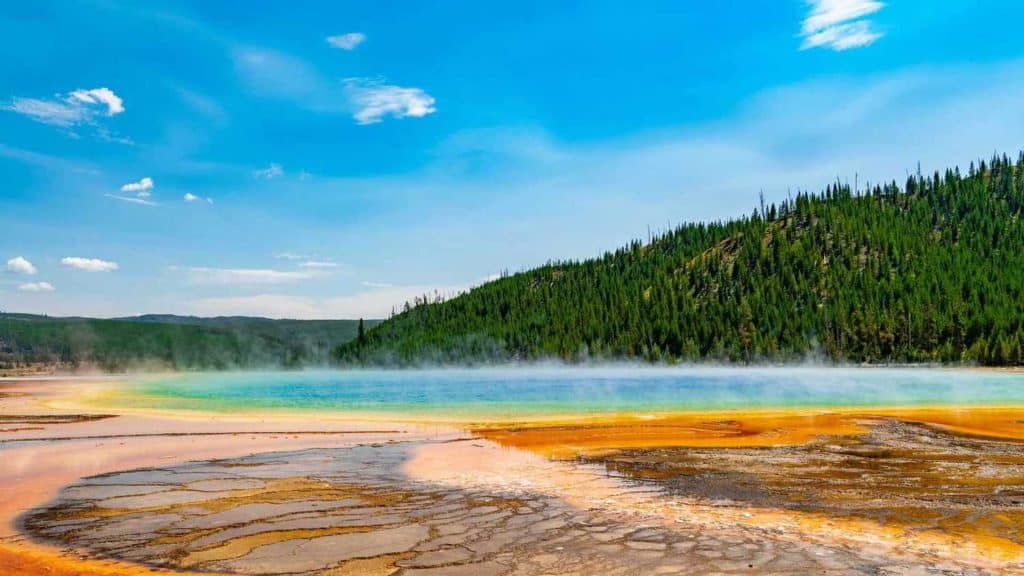 Jerry And Marge Go Large Filming Locations Where Was It Filmed? OtakuKart