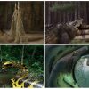 40-best-snake-movies