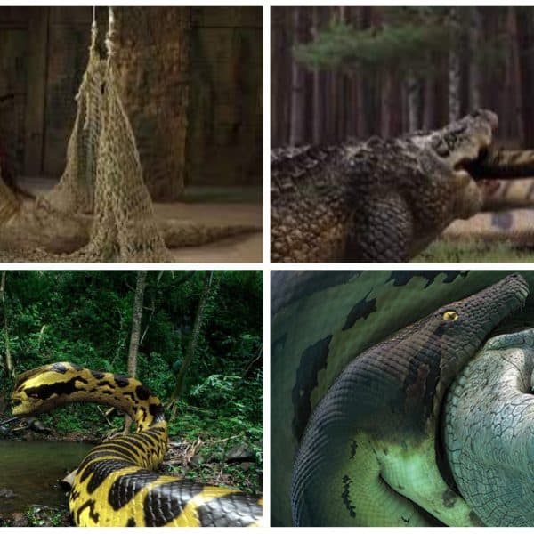 Thread Snke 40 Best Snake Movies of All Time — OtakuKart