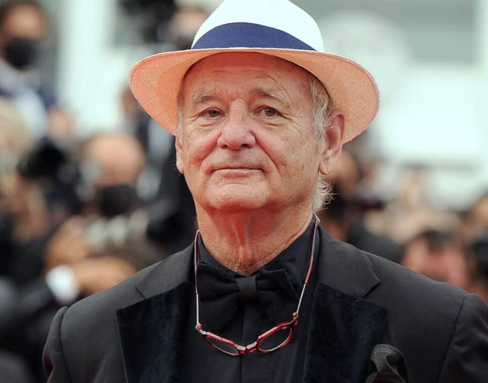 Is Brian Doyle-Murray Related To Bill Murray