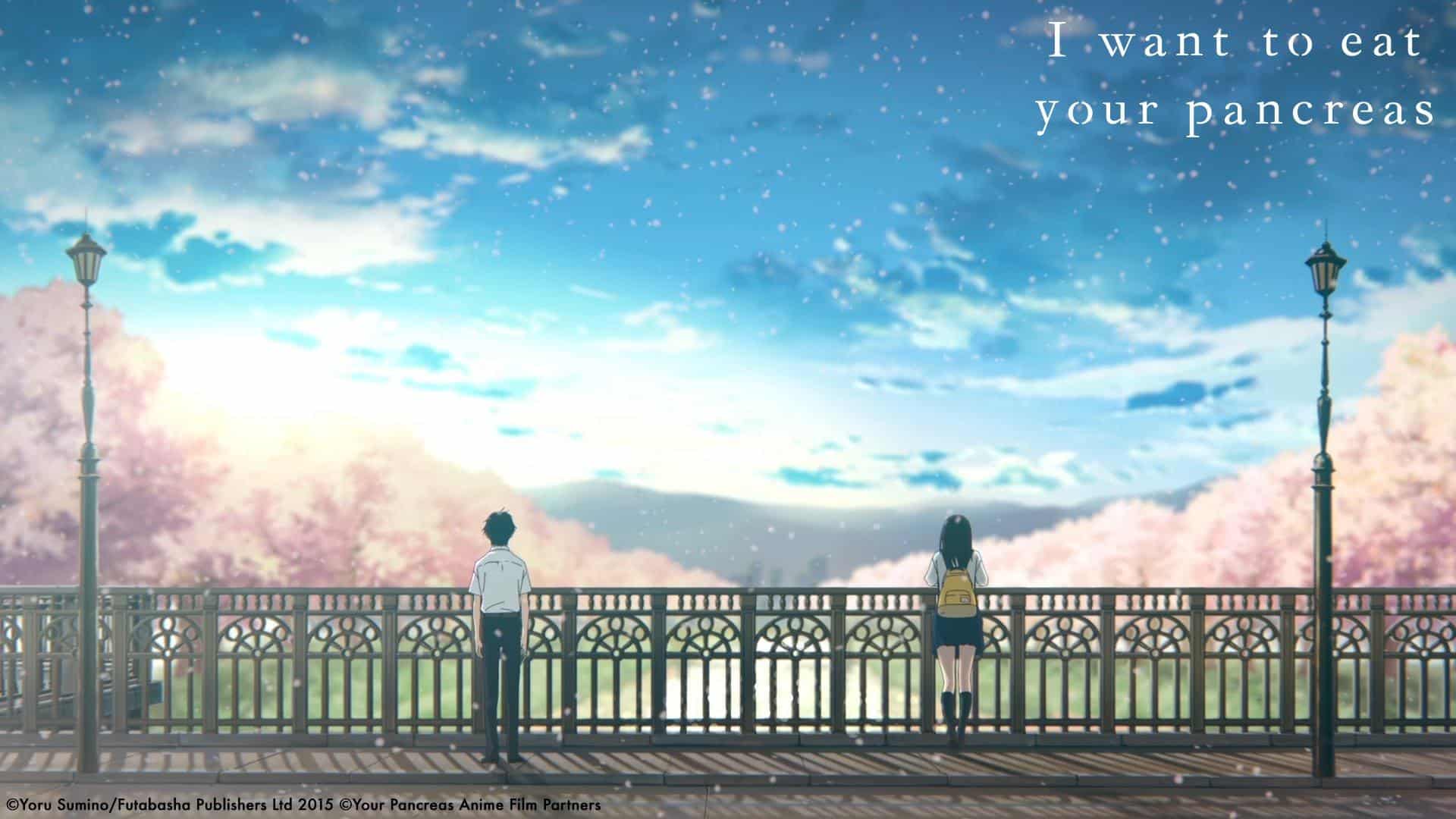 I Want to Eat Your Pancreas HD Wallpaper