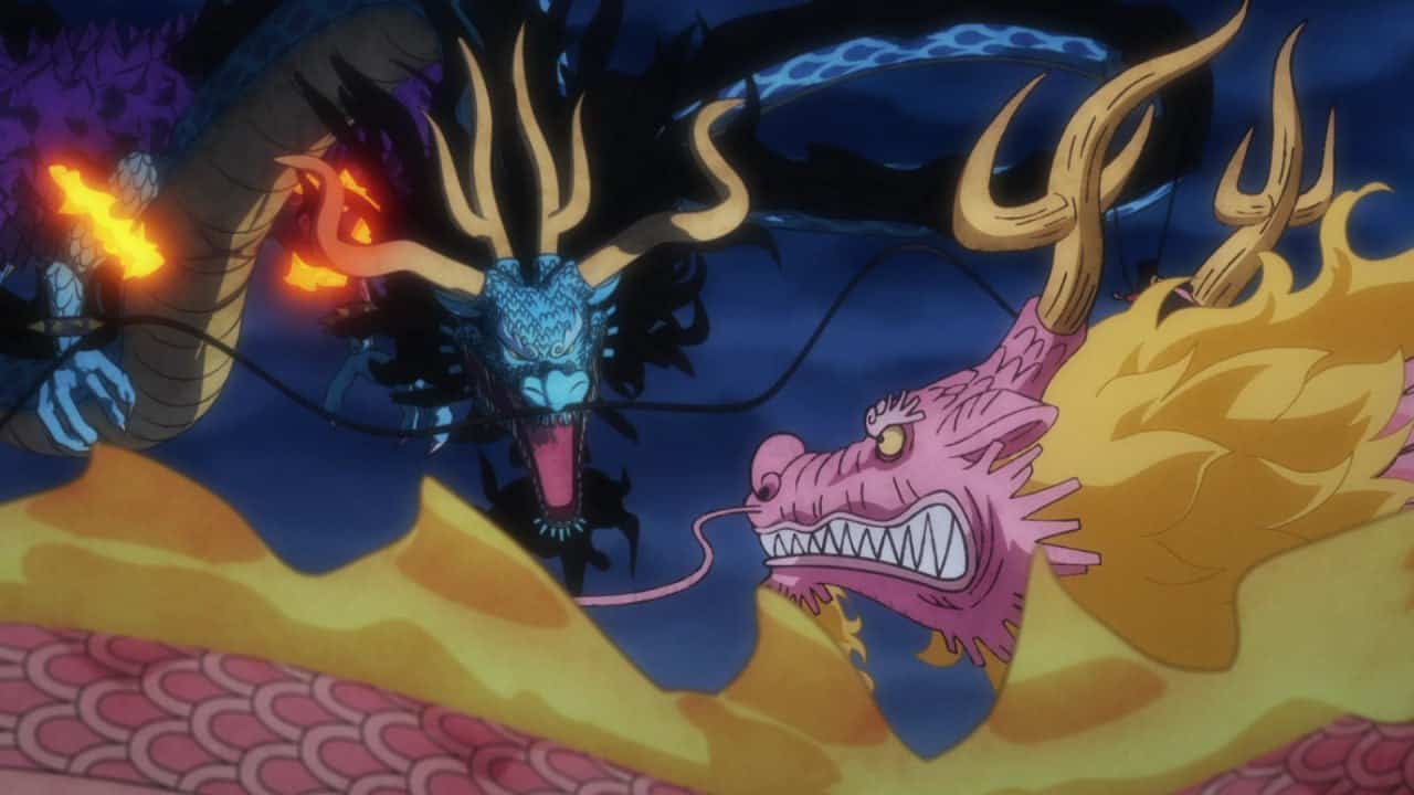 One Piece Episode 1051 Expectations