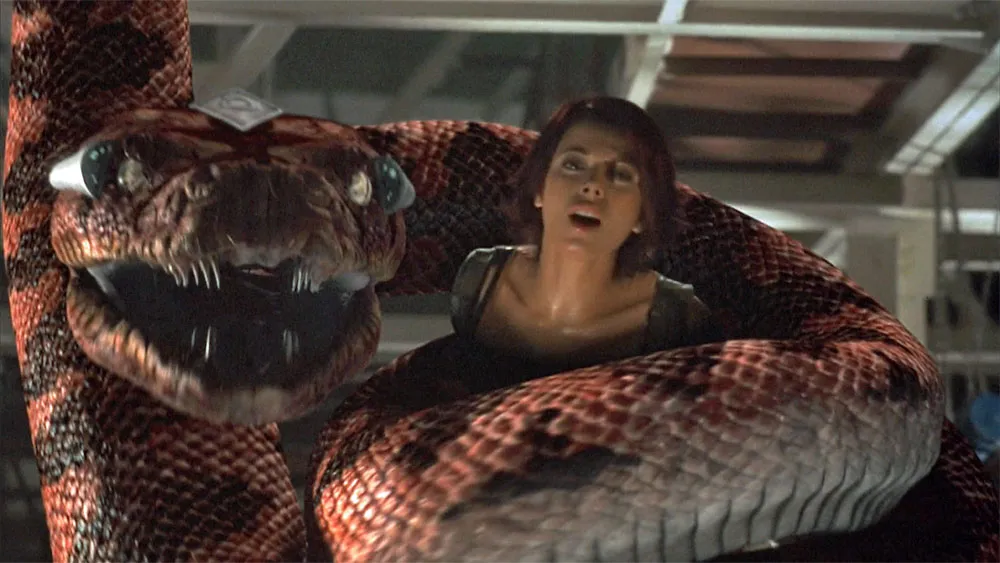Taking on the Python: Boa (2004 Video)