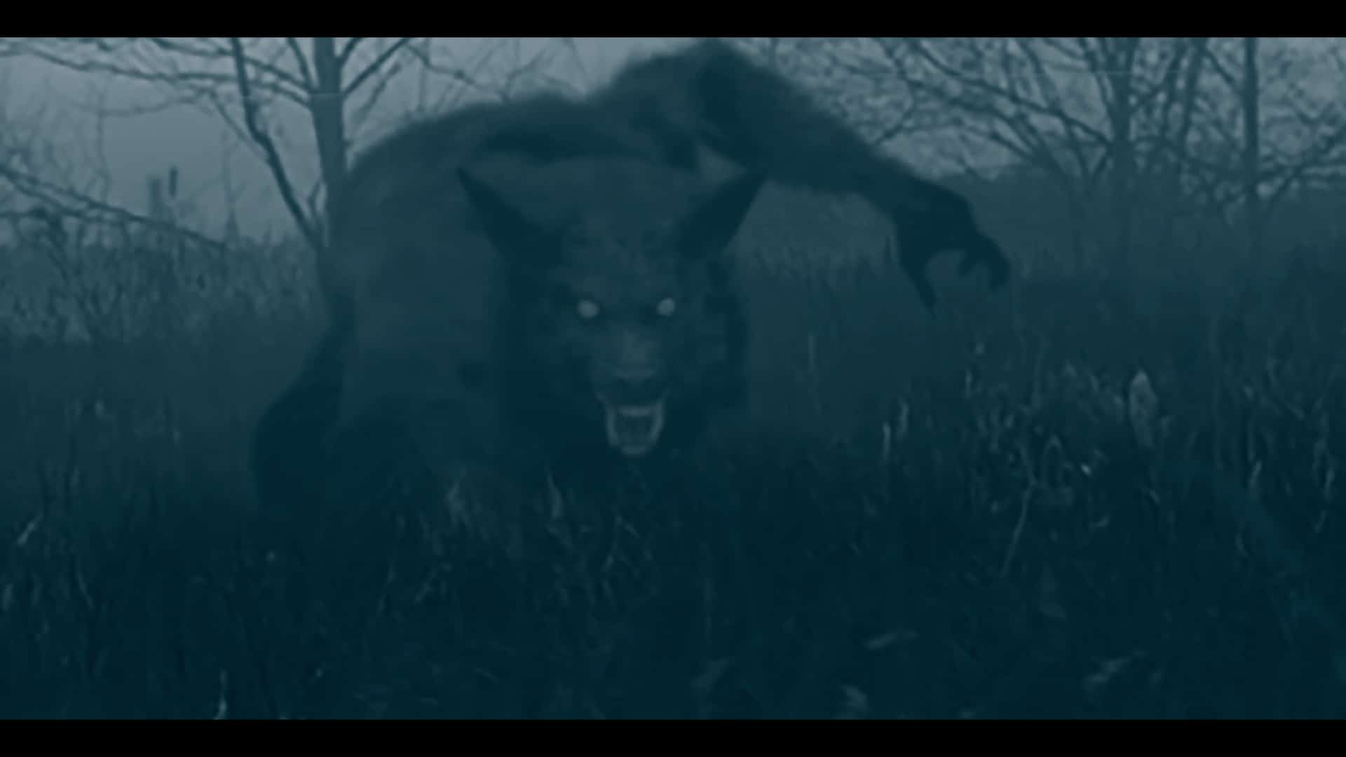 50 best movies about werewolves
