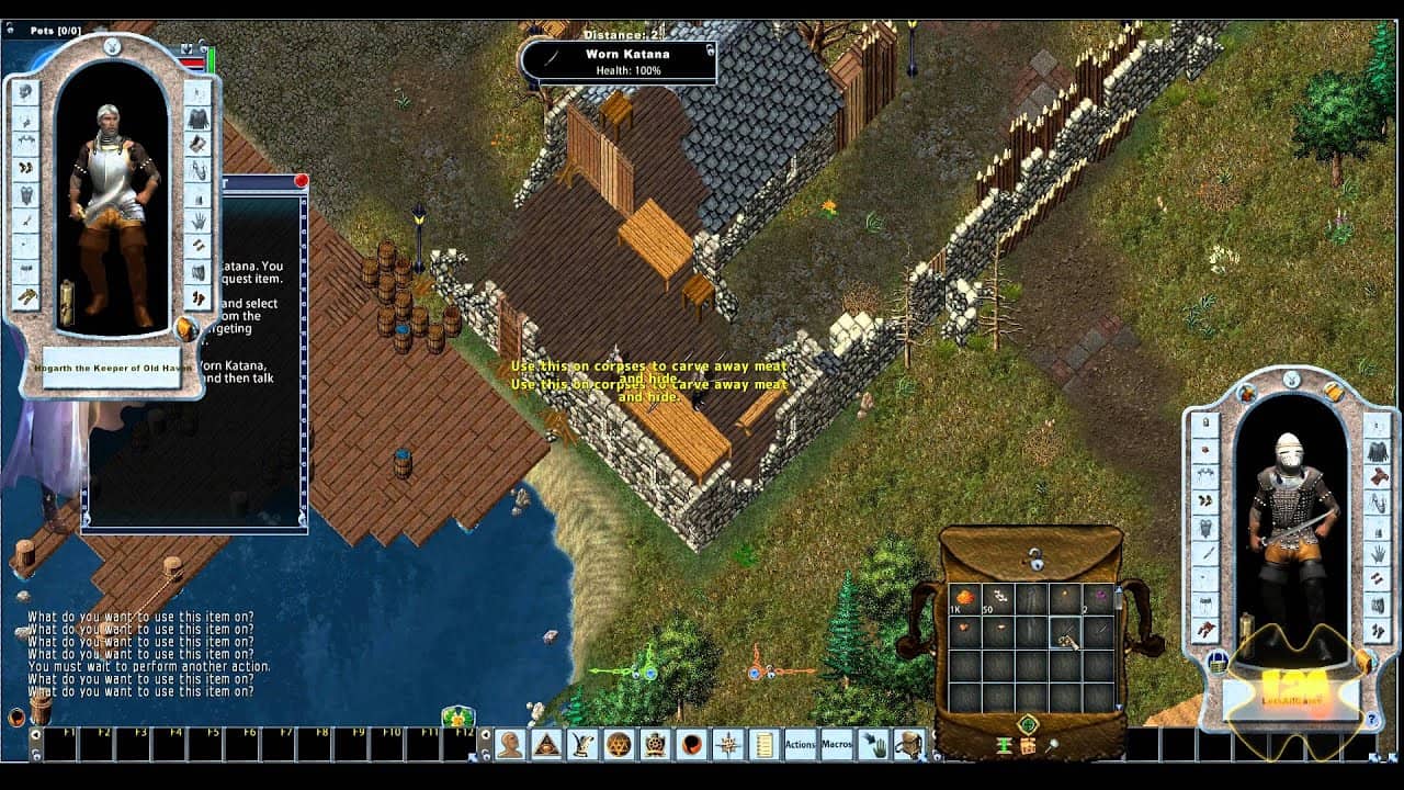Ultima Online gameplay