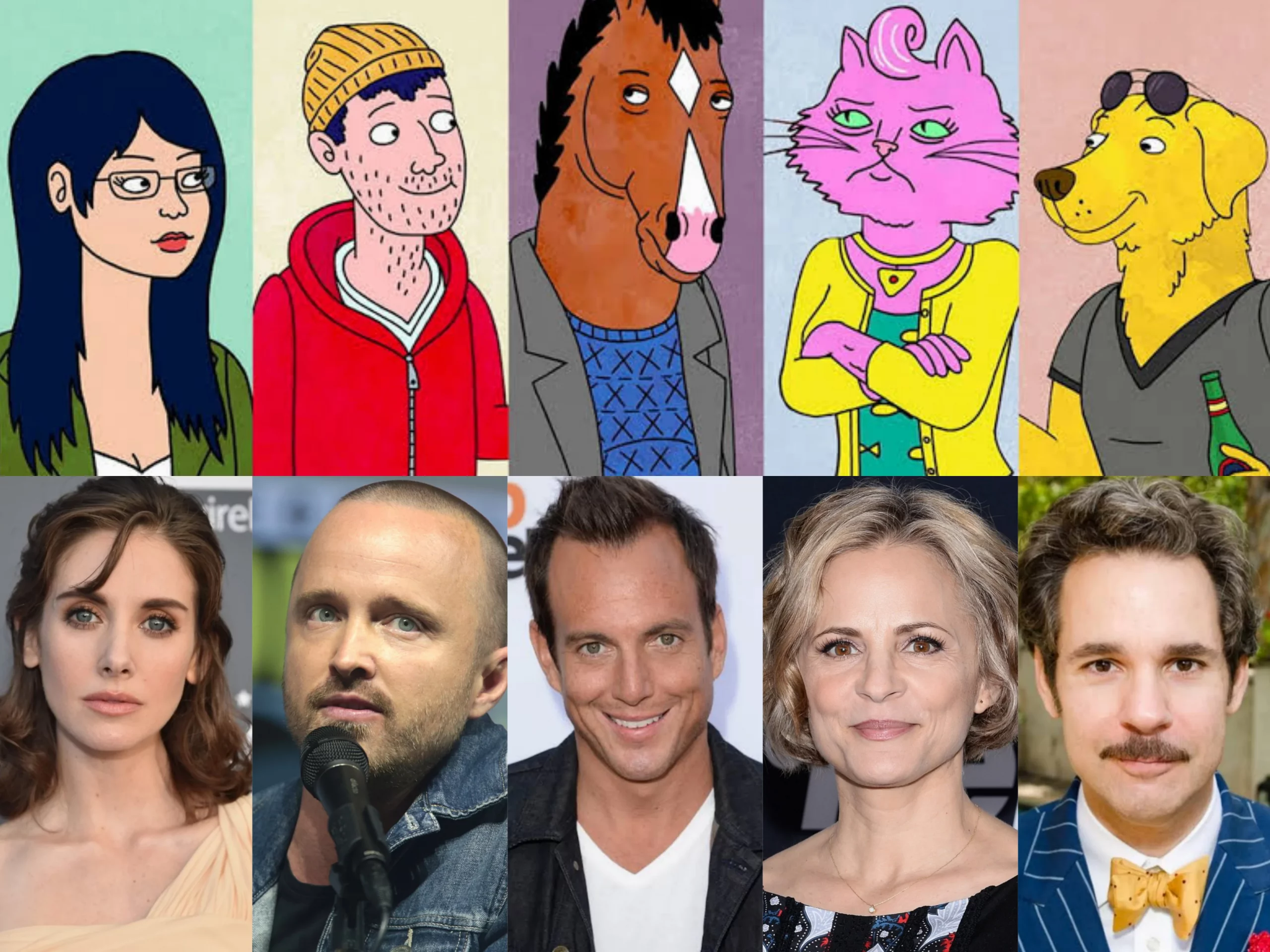 the picture contains voice artists for the show bojack horseman
