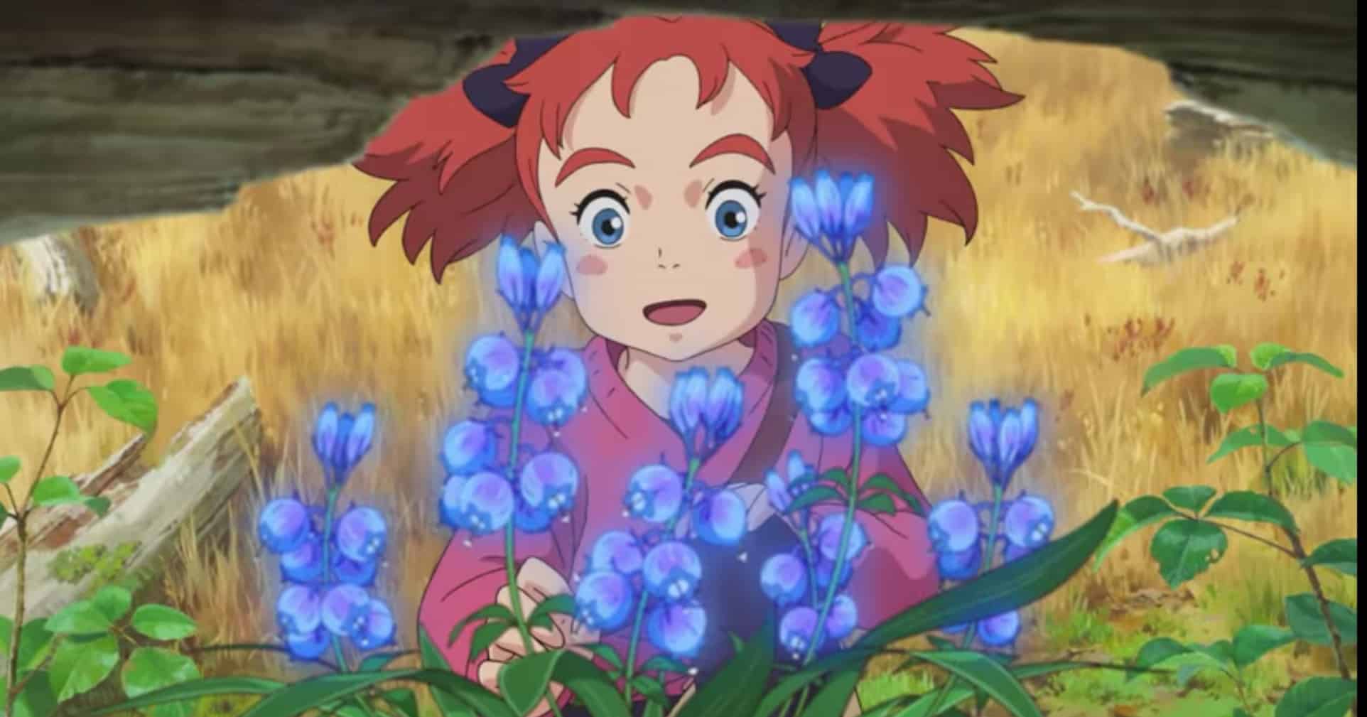 Mary and the witch's flower