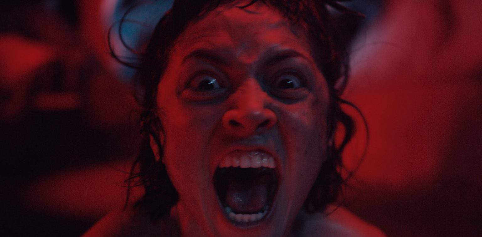 movie we are the flesh