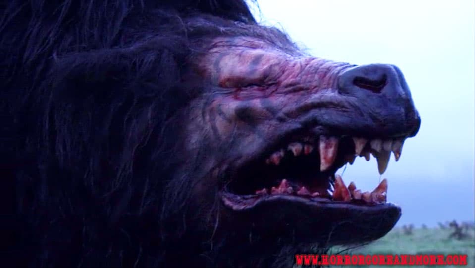 50 best movies abput werewolves