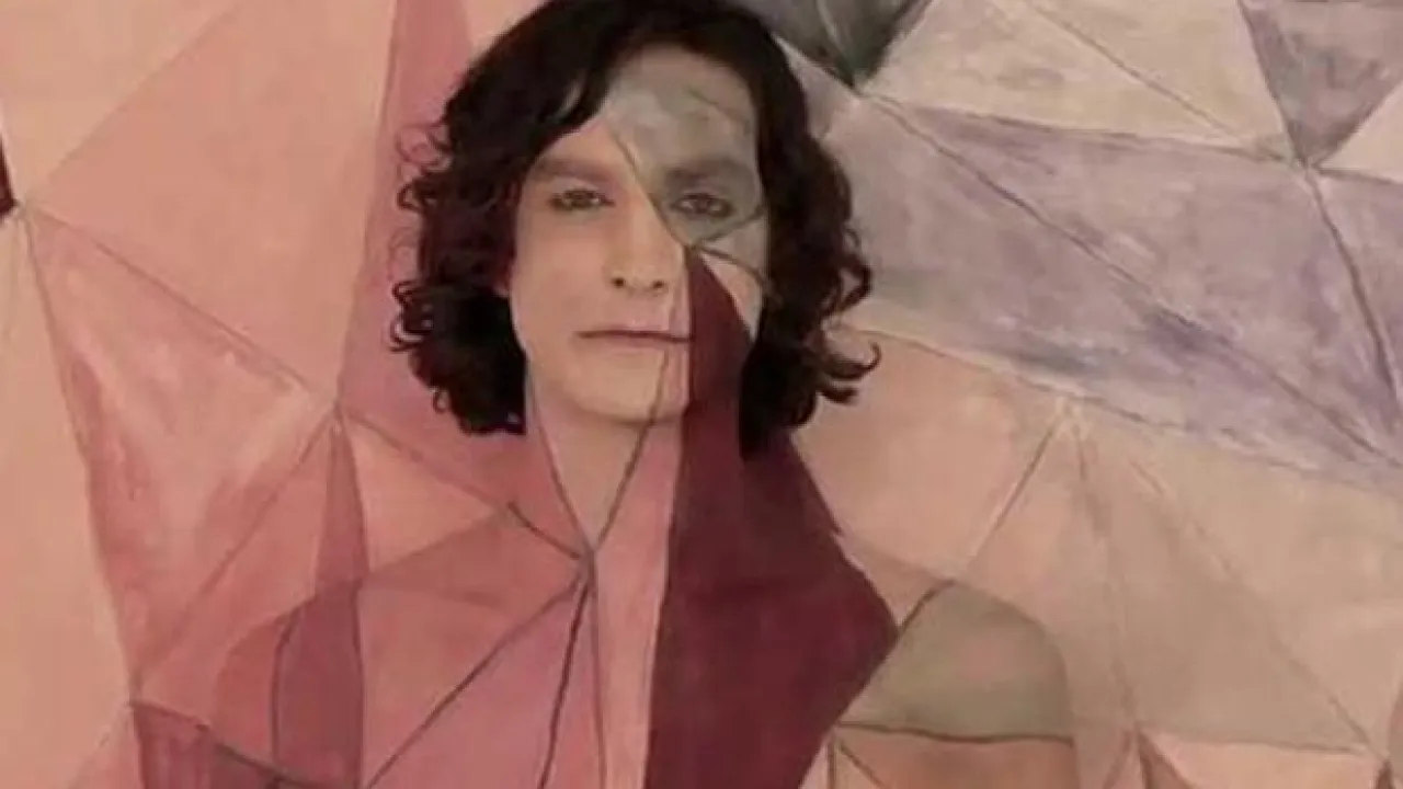 Gotye From His Song