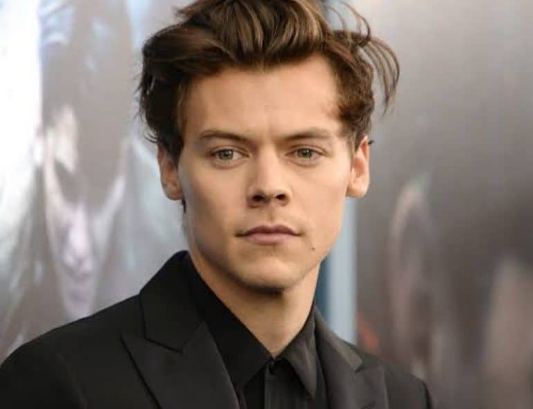 What Happened At The Harry Styles' Concert? All You Need To Know ...