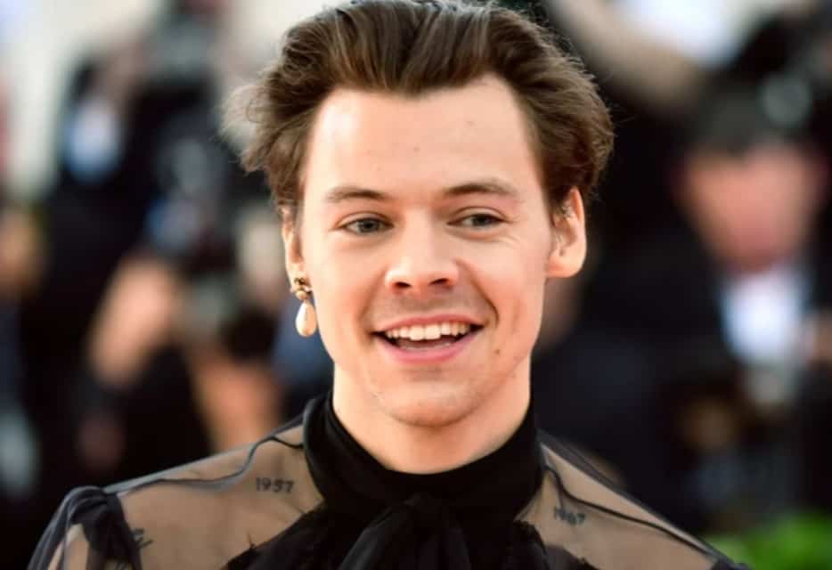 What Happened At The Harry Styles' Concert?