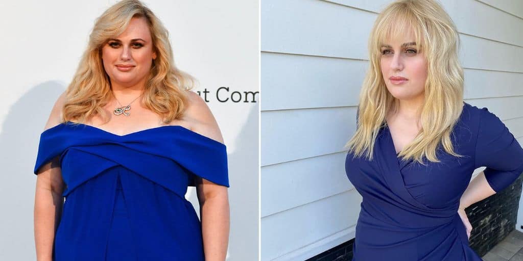 Rebel Wilson Before and After