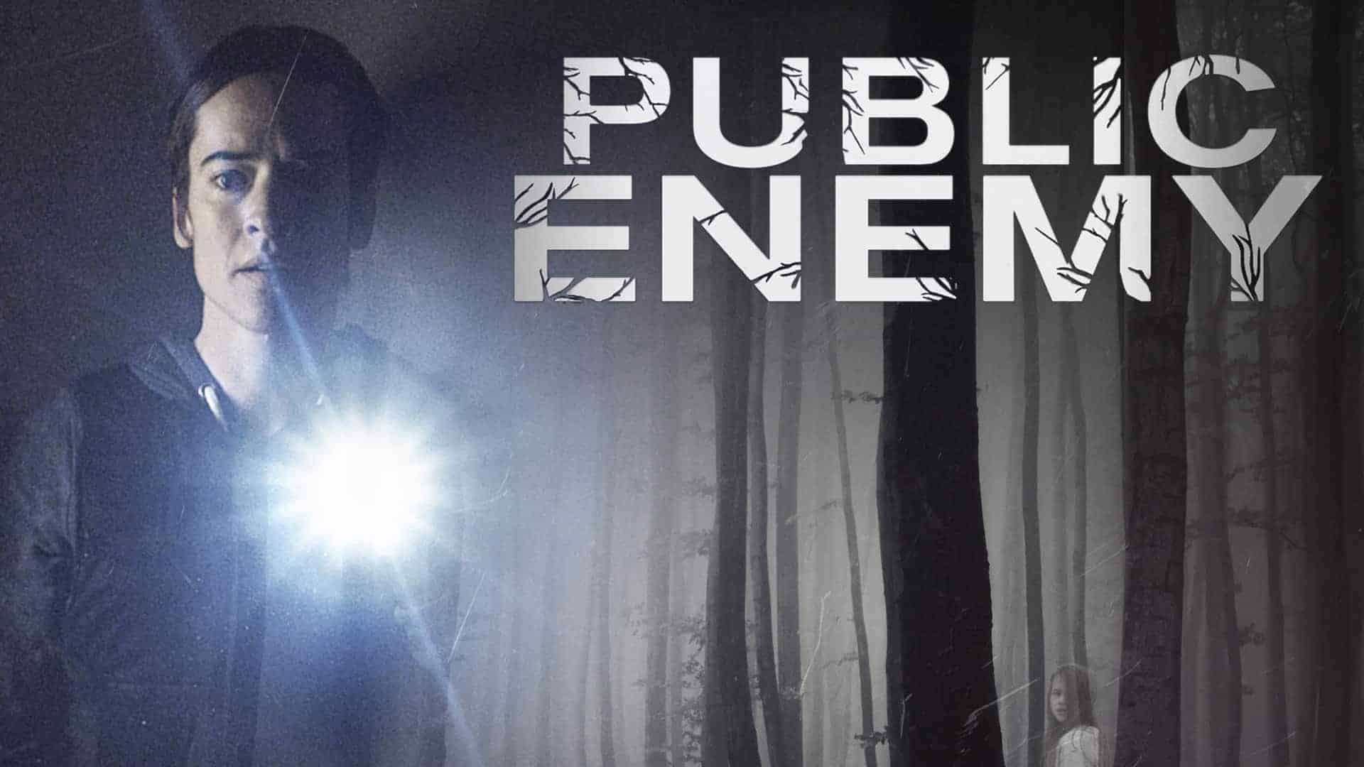 Public Enemy Season 3