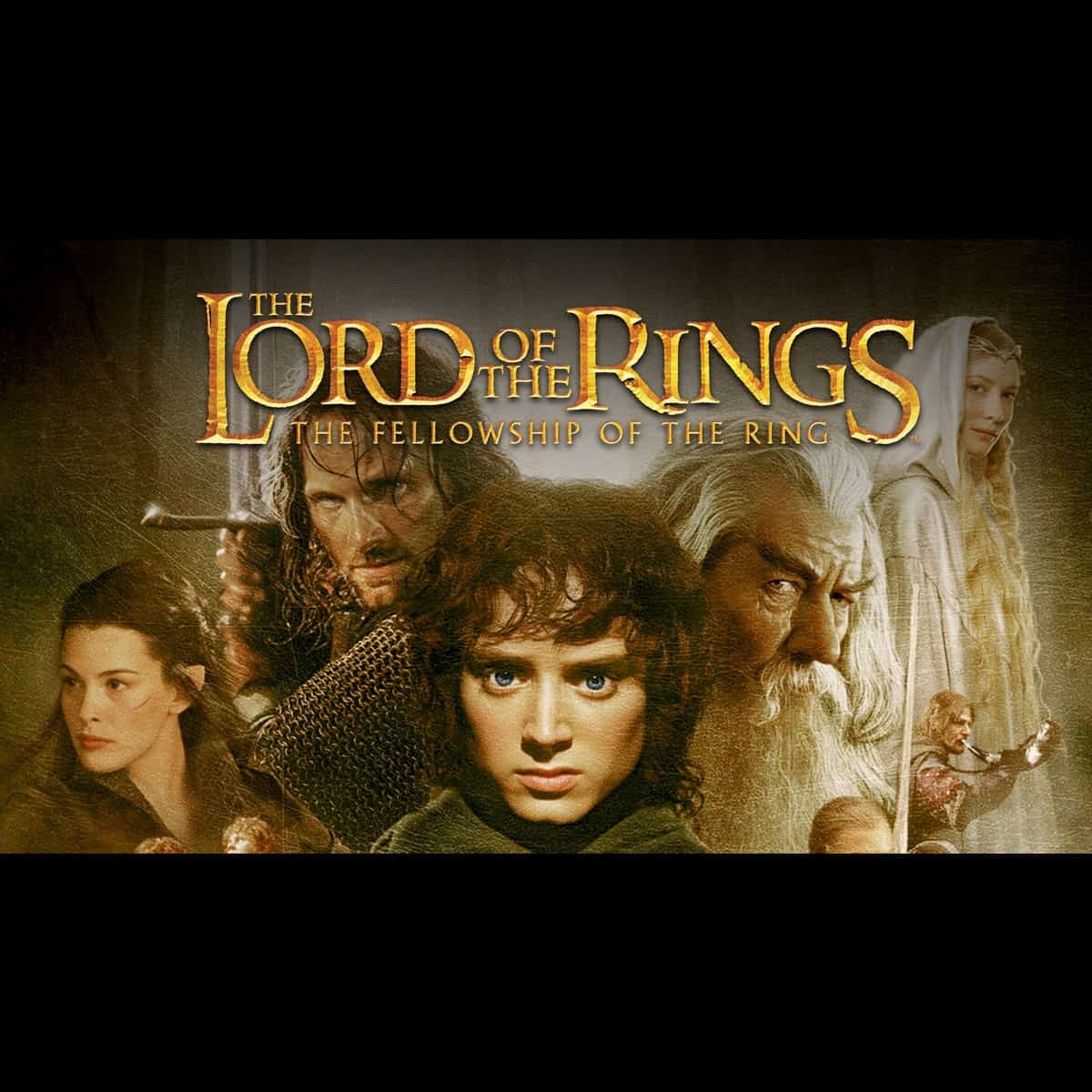 Lord Of The Rings: The Fellowship Of The Ring