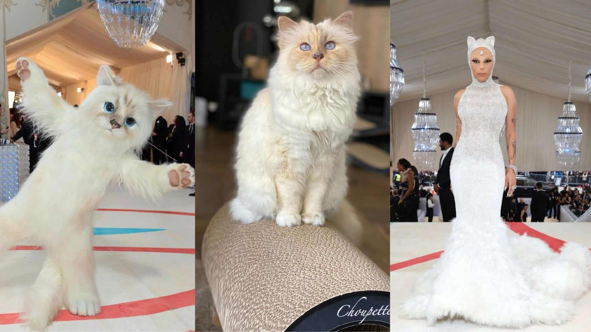 Who is Choupette? Cat That Inspired the Met Gala 2023 - OtakuKart