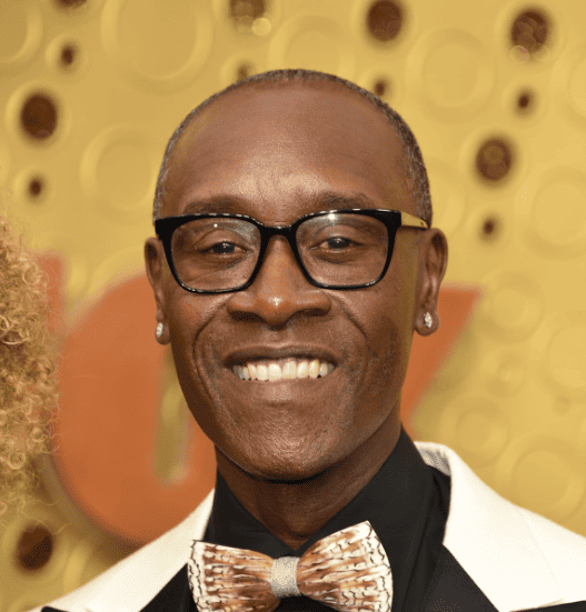 Don Cheadle also known as Rhodes from Iron Man