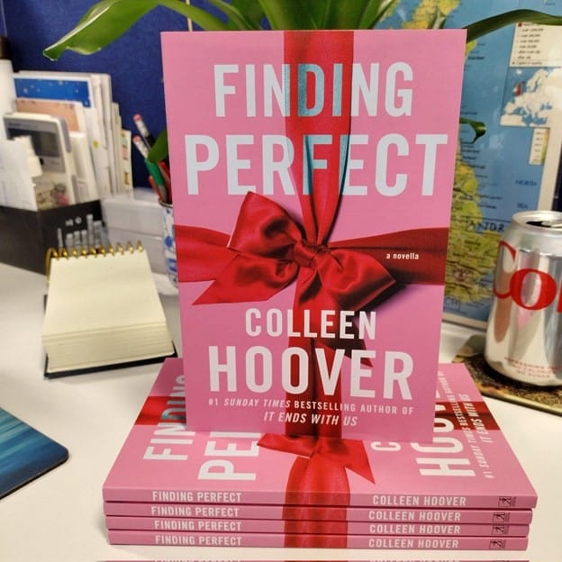 Cover image of the book "Finding Perfect"