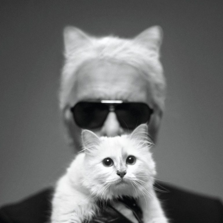 Who is Choupette? Cat That Inspired the Met Gala 2023 - OtakuKart